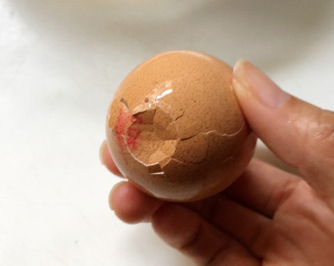 A crack in the bottom of a brown egg. Cook Eggs In A Rice Cooker