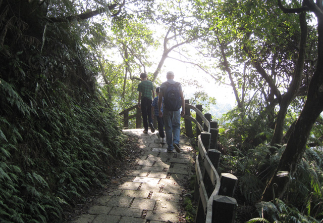 Walking a tree lined path in Elephant Hill in Taipei