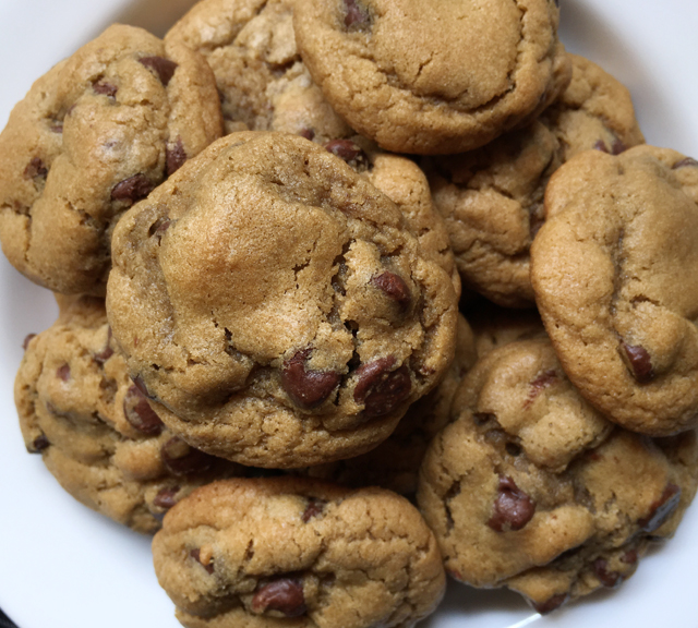 A white plate containing several gluten-free chocolate chip cookies