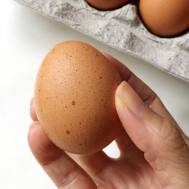 A hand holding a brown egg next to a carton of eggs for how to halve an egg