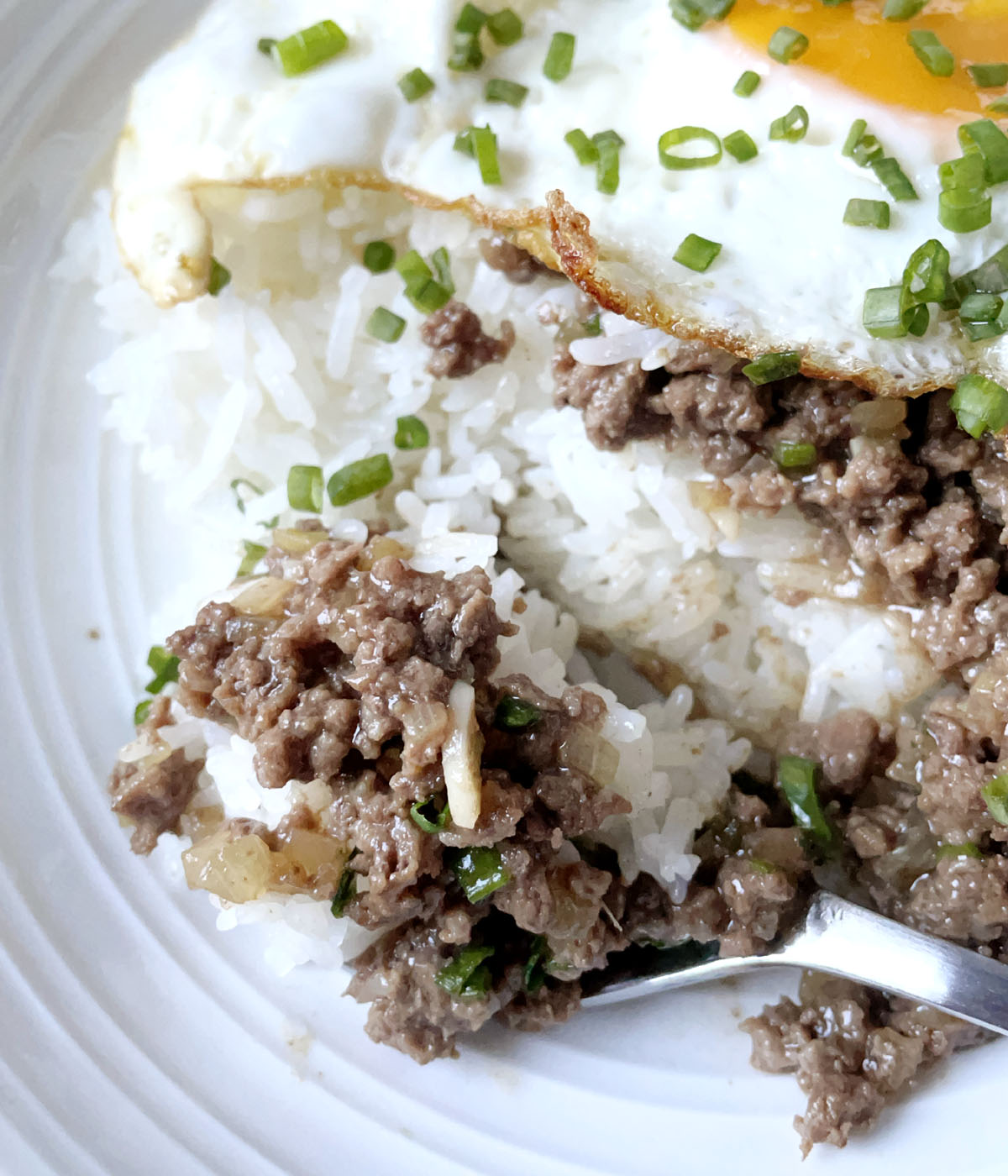 Close-up of a spoonful of white rice and ground meat with chopped green onions.