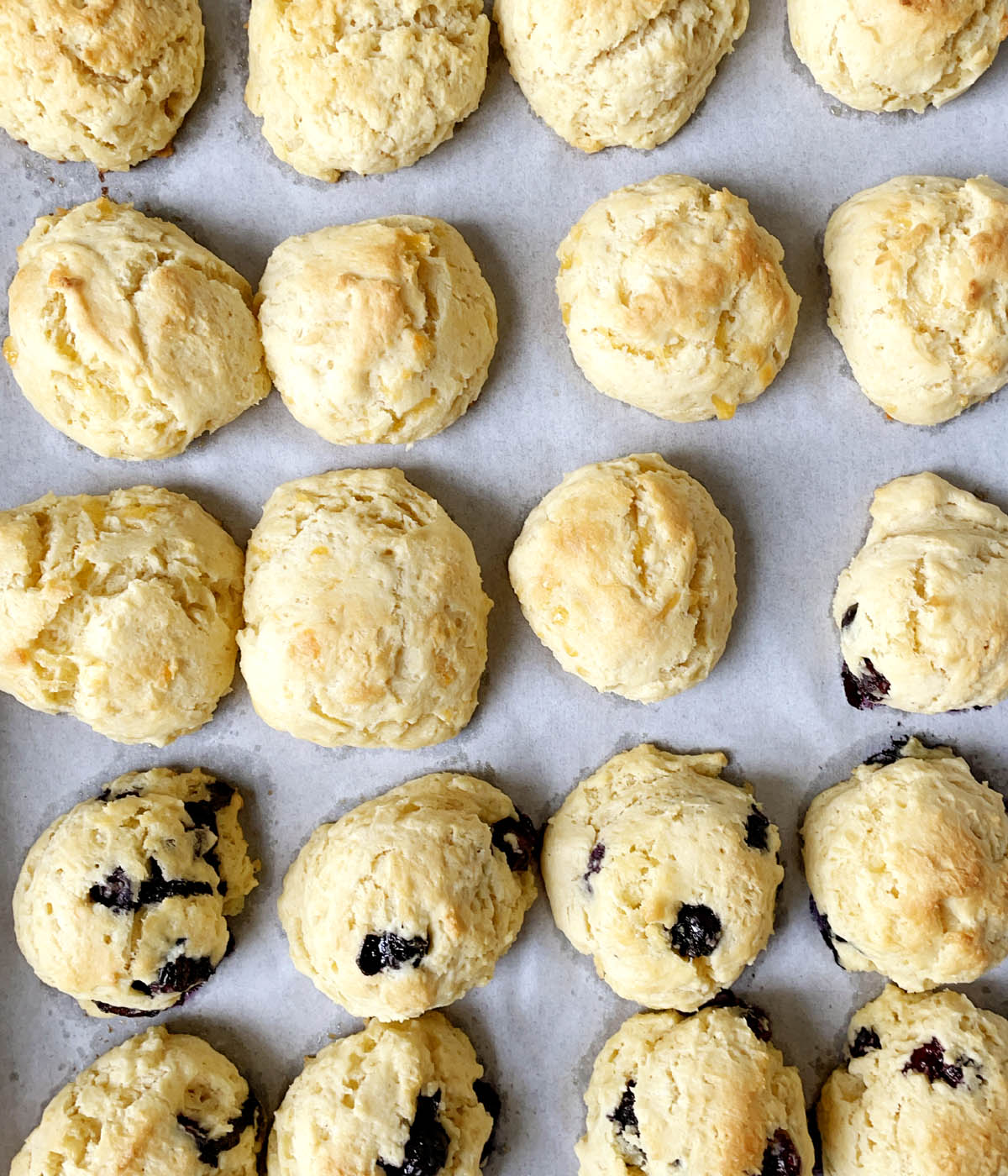 Baked cheese and blueberry tea scones on white parchment paper.