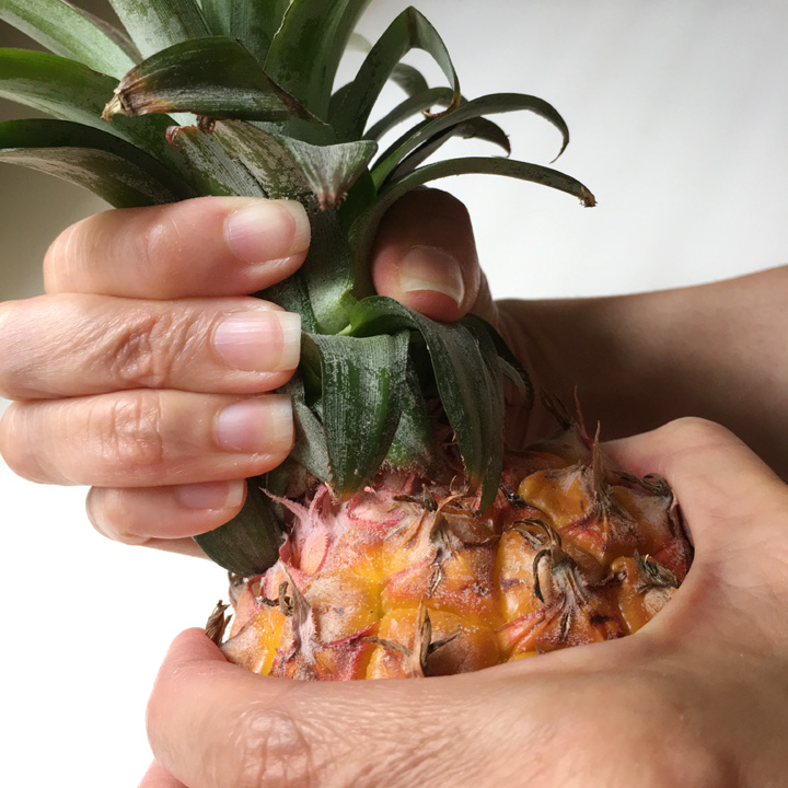 Two hands grabbing a pineapple