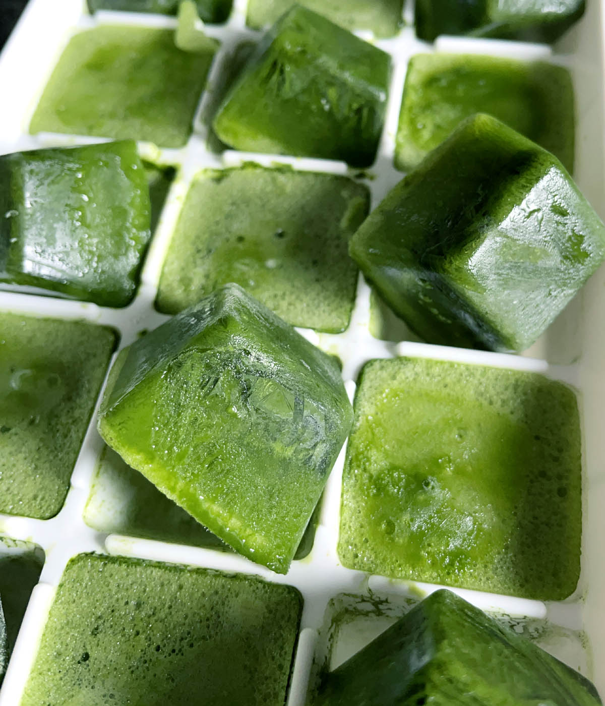 Green matcha ice cubes in a white ice cube tray.